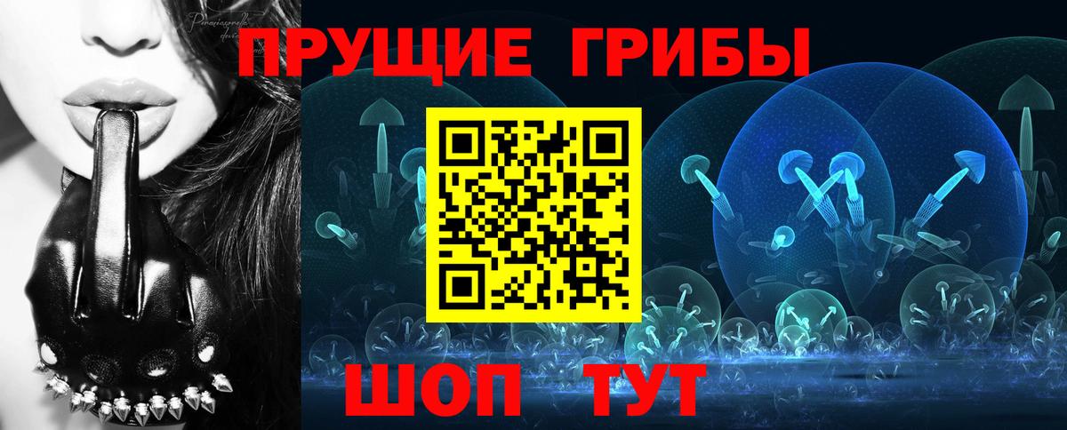 Псилоцибиновые грибы GOLDEN TEACHER Красноярск